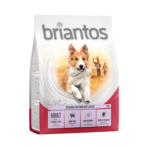 Briantos Adult łosoś i ryż