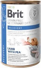 Brit Veterinary Diet Recovery