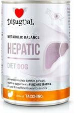 Disugual Dog Hepatic Indyk