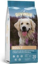 Divinus Dla Psów Dorosłych Adult