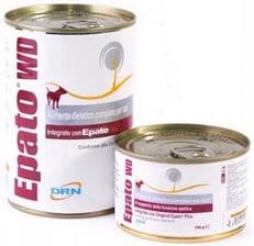 Geulincx Epato Wet Diet