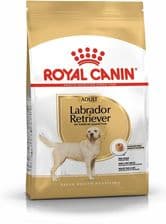 Royal Canin Labrador Retriever Adult