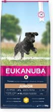 Eukanuba Dla dorastających psów dużych ras bogata w świeżego kurczaka – opakowanie karmy