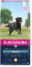 Eukanuba Dla dorosłych psów bogata w świeżego kurczaka