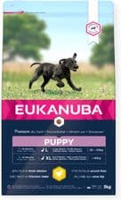 Eukanuba Dla szczeniąt dużych ras bogata w świeżego kurczaka 15kg