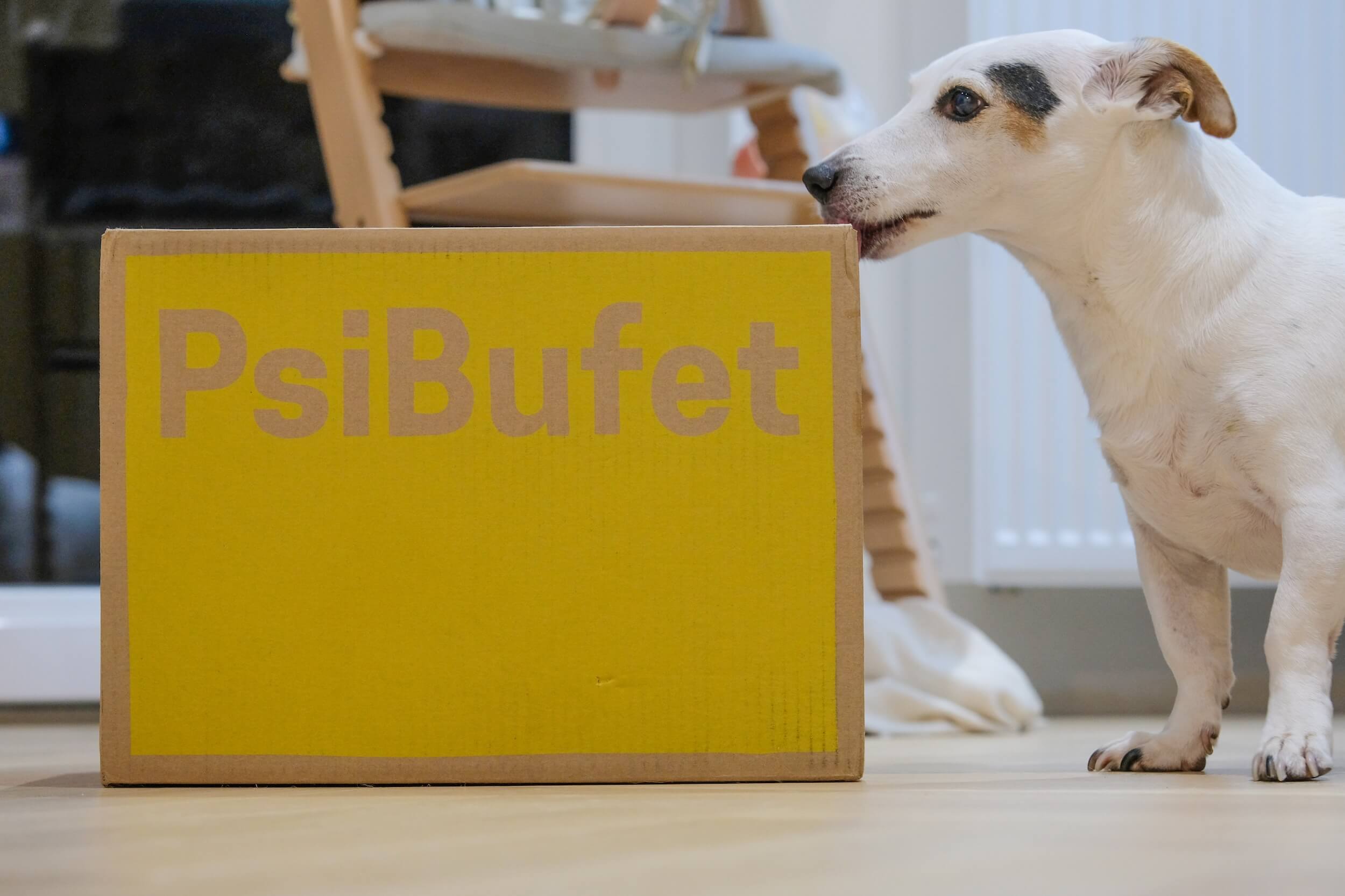 Sprawdzam Psi Bufet - testuje dietę dla psów - mielipide? 🤔